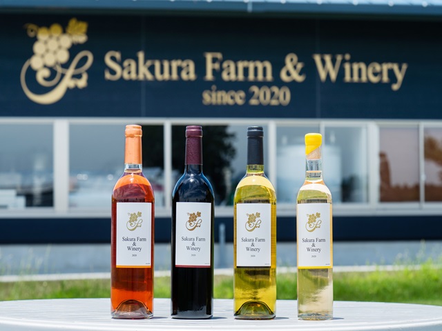 ワイナリーでは自社農園の良質なぶどうを厳選し、栽培から瓶詰めまで一貫した手作りにこだわる