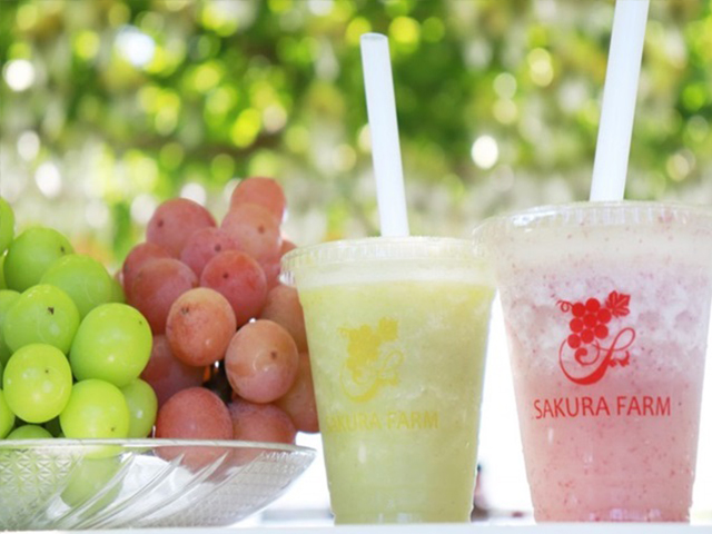 採れたての果物でつくる大人気のスムージー