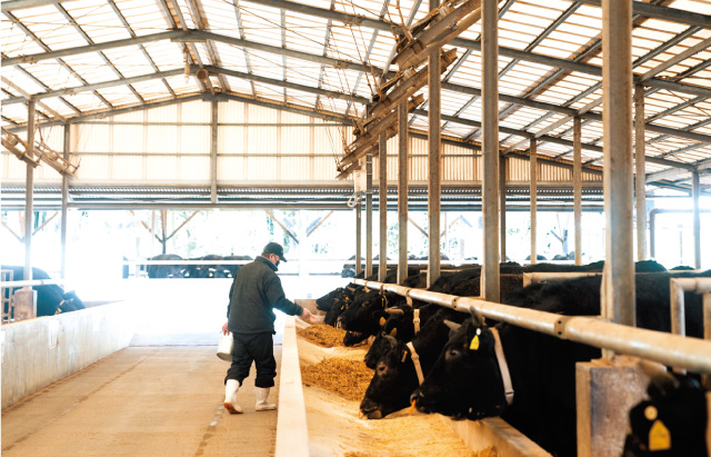 最高級の自社ブランド黒毛和牛「いずみ華姫牛」。安心とおいしさを届けるため生産者たちは常に研鑽を続けている。